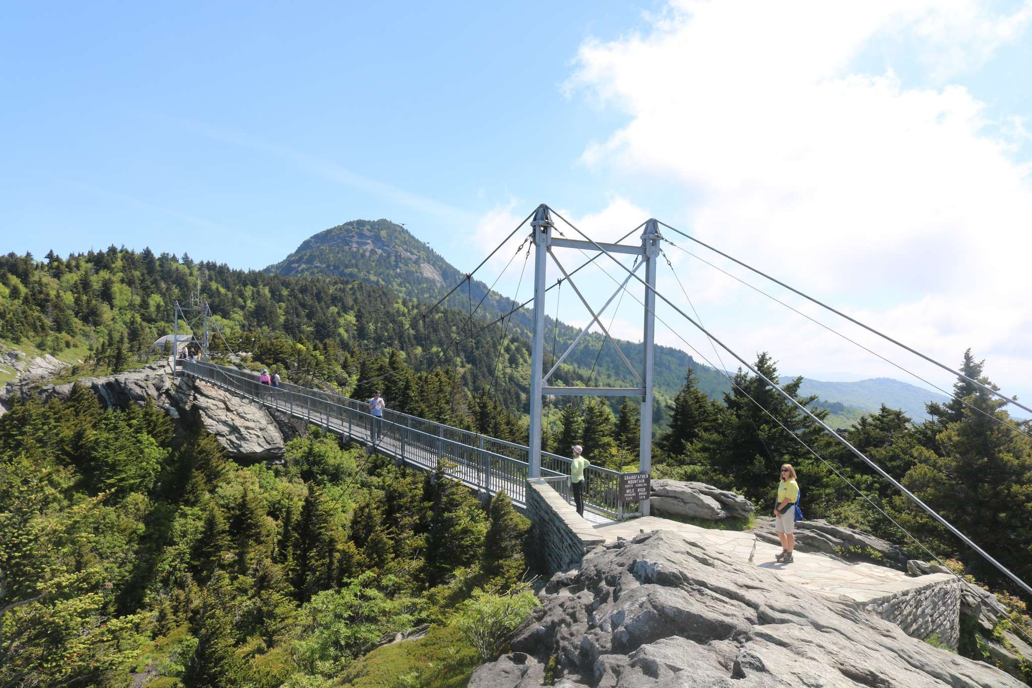 Grandfather Mountain